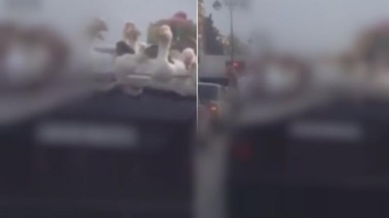 Bu görüntülər Bakıda çəkildi - Dünyanın bir çox televiziyaları yayımladı...