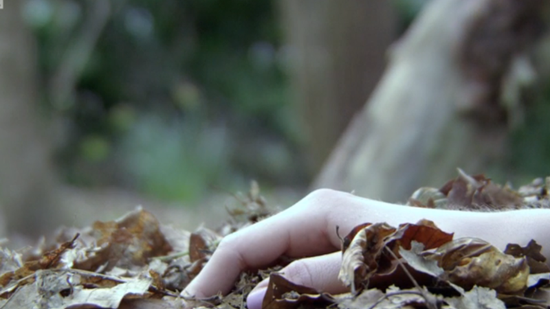 Qadını öldürüb, meyiti Qız Qalasının yanına atdılar