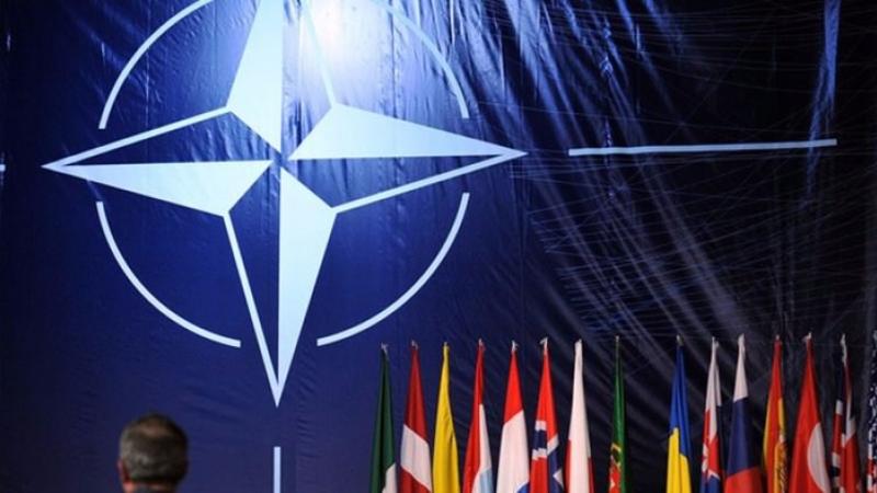NATO-dan Kataloniya ilə bağlı QƏRAR