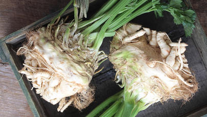 Kərəvizin inanılmaz təsirləri