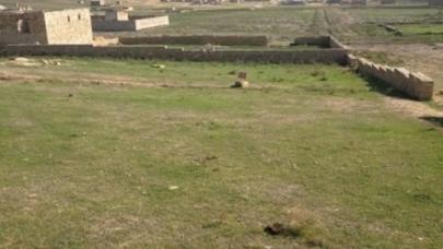 Torpaq bazarında durğunluq yaşanır - SƏBƏB - (VİDEO)