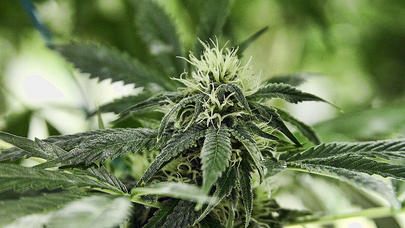 Siyəzəndə əməliyyat keçirildi