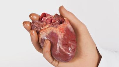 Orqan alveri edən cinayətkar şəbəkənin üzvləri tutuldu