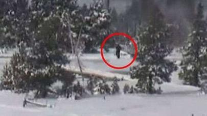 O nəhəng məxluq Azərbaycanda da göründü - SAKİNLƏR DANIŞIR - - VİDEO