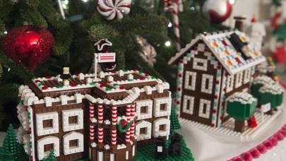 Birinci xanım Yeni İl üçün şam ağacını BELƏ BƏZƏDİ - FOTOLAR