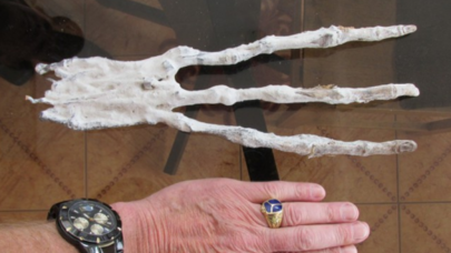 Üç barmağı olan SİRLİ ƏL - yadplanetlinin qalıqları dünyanı şoka saldı - - FOTOLAR