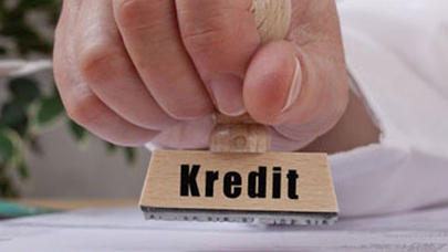 Kreditlərin 34,9 faizi dövlət tərəfindən verilib