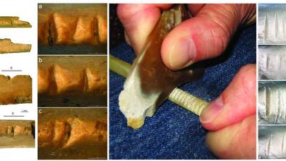 Neandertallar estetikadan anlayırmış