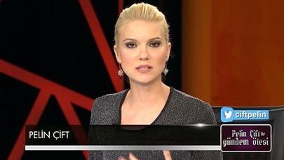 Türk professor: “Şah İsmayıl böyüyümüzdür” - - VİDEO