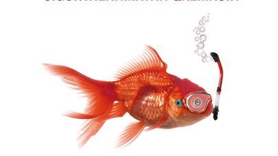 "Kapital Bank" filiallarında avtomobili kreditlə sığortalamaq olar