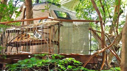 300 yaşı olan ağacda özünə ev tikdi - FOTOLAR