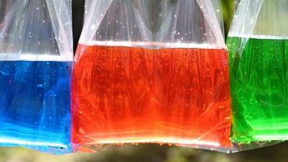 Evdəki milçəklərdən qurtulmağın ən asan yolu