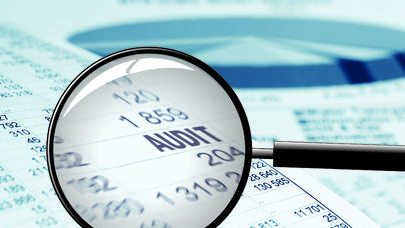 DSMF auditor seçir
