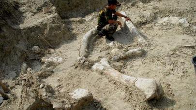 4 metr uzunluğunda diş tapıldı - İNANILMAZ FOTO