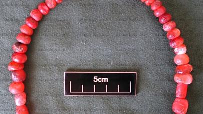 Tovuzda maraqlı tapıntı - FOTO