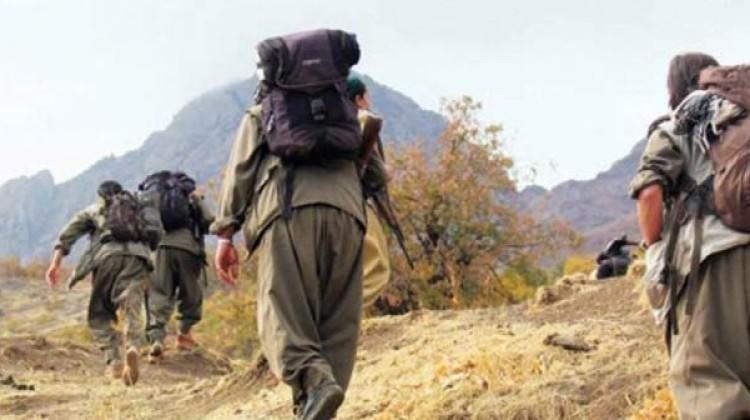 PKK terrorçuları toplu halda təslim olmağa başladı