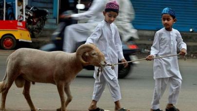 Qurbanlıq barədə ən çox verilən SUALLARA CAVABLAR