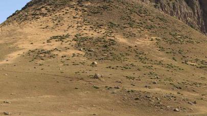 Yardımlıda qədim yurd yerləri, kurqanlar aşkar edildi