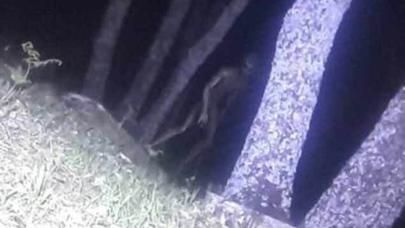 Dünya mediası bu görüntülərdən danışır - - VİDEO