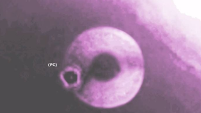 2024-cü ildə Marsa ilk insan gedəcək