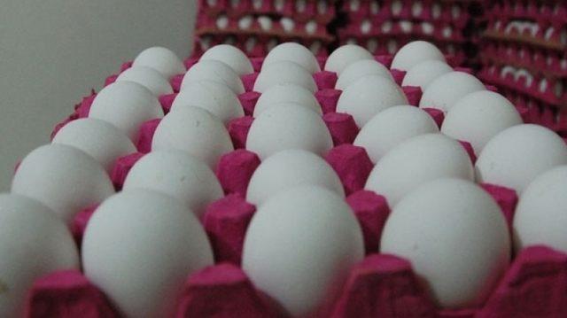 Yumurta böhranının sirri açıldı: İstehsalçıların gəliri fantastik həddə artıb