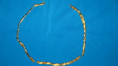 Qafqazın ən qədim qızıl bəzək əşyası tapıldı - NAXÇIVANDA