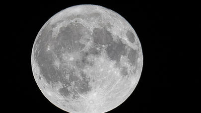 Ayın mənşəyi haqqında YENİ İDDİA