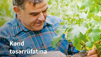 "Unibank" 3% endirimli, 6 ayadək güzəştli aqrokreditlər təklif edir