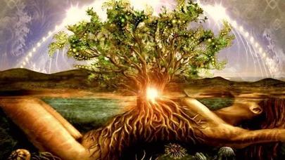 Qadının seksual temperamenti qan qrupundan asılıdır