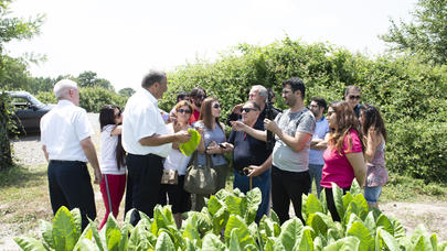 Xəstə heyvan orqanlarının saxlanıldığı, əcnəbiləri ovsunlayan, milyonlar qazandıran kəndimiz -  - REPORTAJ