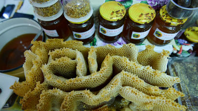 2 ton bal satan, xərçəngi balla müalicə edən qadın - REPORTAJ/FOTO