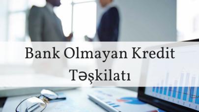 Azərbaycanda kredit şirkəti adını dəyişdirdi