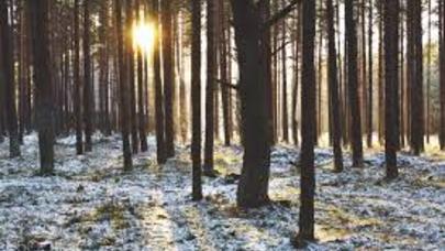 Nazirlik qışın sərt keçəcəyi barədə yayılan məlumatlara aydınlıq gətirdi