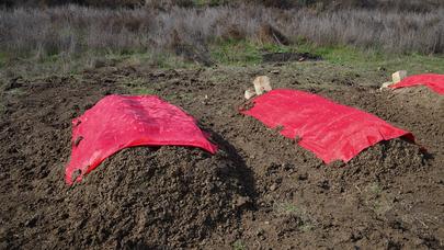 19 illik ər-arvadın sevgililər günündə intiharının DƏHŞƏTLİ TƏFƏRRÜATI - VİDEOREPORTAJ