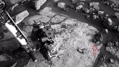 NASA-nın insanlardan gizlətdiyi GERÇƏKLƏR: Marsda əslində hansı canlılar yaşayır? - - FOTOLAR