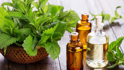 Gözəllik üçün əvəzsiz vasitələr