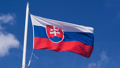 Azərbaycan-Slovakiya Biznes Forumu keçirilir