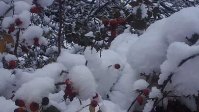 İsmayıllı qara büründü: möhtəşəm görüntülər - FOTO/VİDEO
