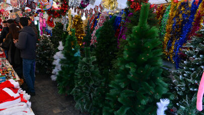 Bakının mərkəzində 380 manatlıq ağac - Paytaxt sakinləri nədən gileylənir? - REPORTAJ/FOTOLAR