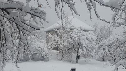 İsmayıllının QAR MƏNZƏRƏLƏRİ - FOTOLAR - (YENİLƏNDİ)