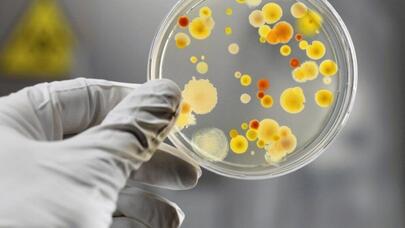 Məşhur PROFESSOR TƏHLÜKƏLİ VİRUSLAR haqqında bilmədiklərimizi AÇDI: “İmmunitet maksimum 3-4 ilədək...”