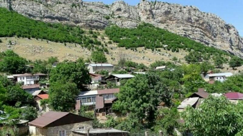 Kərkini təhvil verməyə hazırlaşırlar... - Kənddə nələr baş verir?