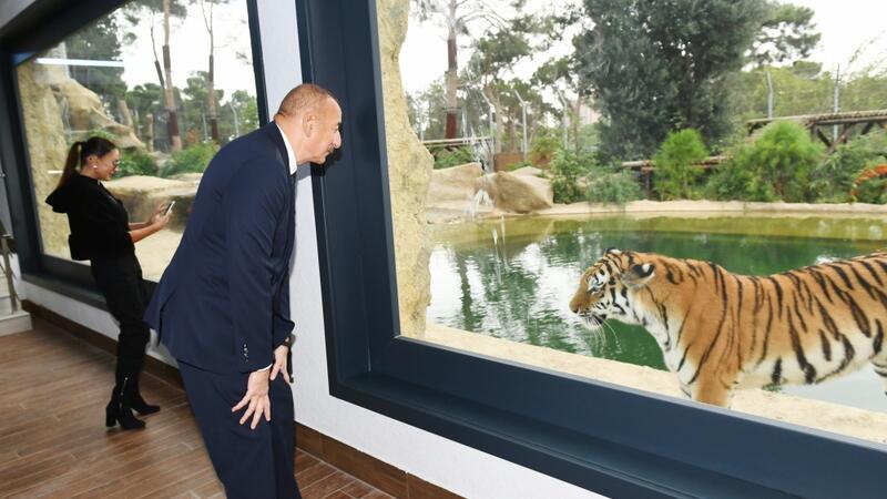 Prezidentlə ailəsi zooparkın açılışında - FOTO