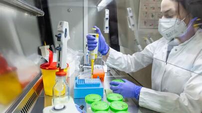 Koronavirusun yeni ştamına yoluxmalar qeydə alındı