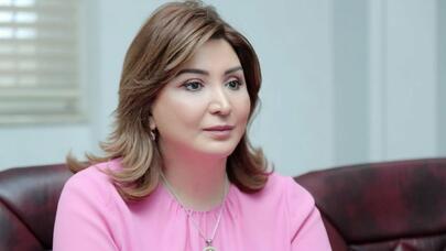 Aynur Camal: “Azərbaycanda xəbər istehsal edən media orqanlarının sayı barmaqla sayılacaq qədərdir”