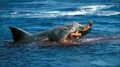 Daha bir qadın köpək balığının qurbanı oldu