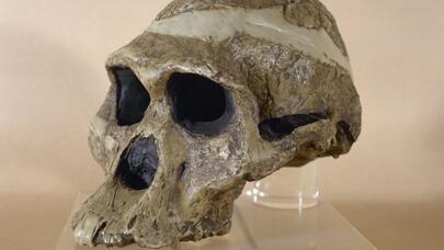 Əcdadlarımız düşündüyümüzdən daha yaşlı imiş   - EVRİKA