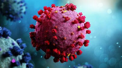 Rusiya COVID-19-la bağlı gizli məlumatları yaydı: ABŞ bu tarixdən...