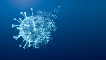 Koronavirus immunitetin mədəaltı vəzinə hücumlarına səbəb olur