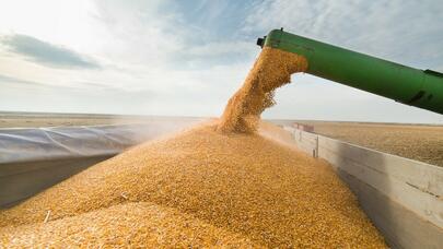 BMT Ukraynadan Afrikaya daha çox taxıl göndərməyi planlaşdırır